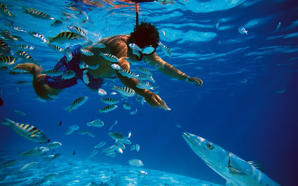 iberostar cancun snorkeling